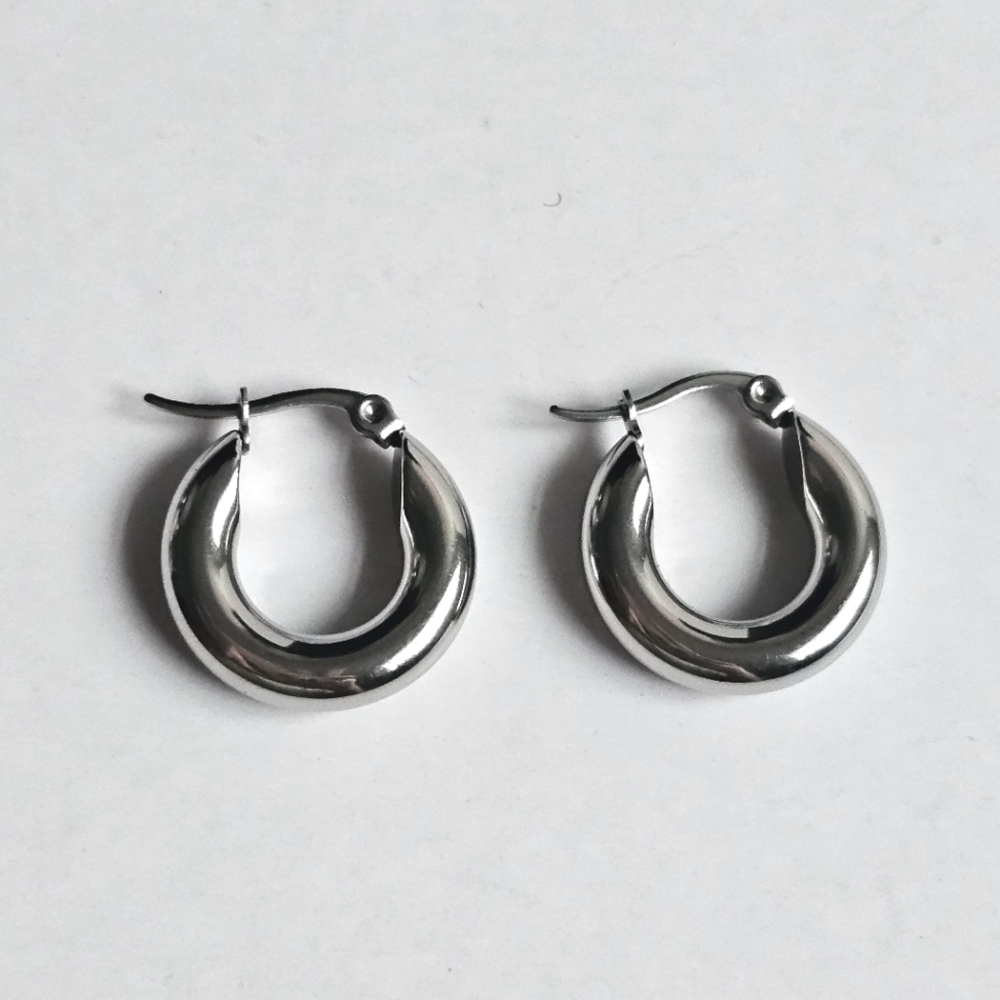 Boho stainless steel french style hoop earrings NWOT